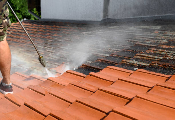 Best Pressure Washing Near Me  in Mcarthur, OH
